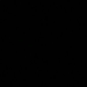 Meet your Posher, Lau